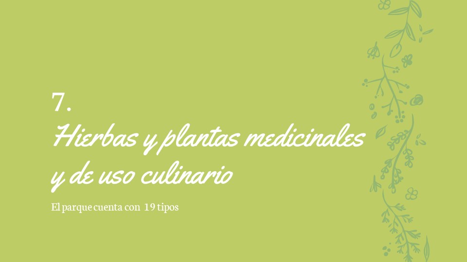 Diapositiva166